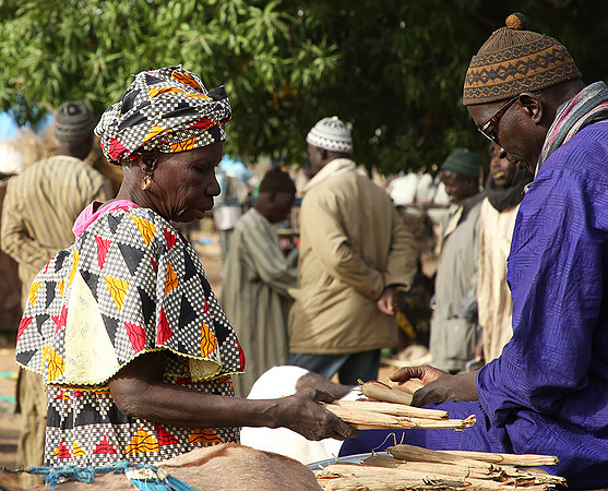 Bush market