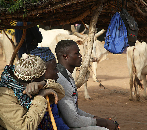 Bush market