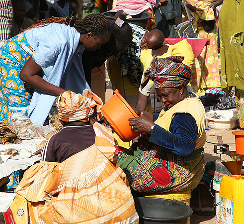Bush market