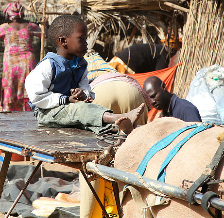 Bush market
