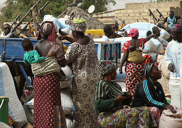 Bush market