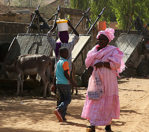 Bush market