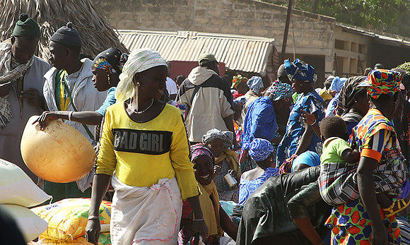 Bush market