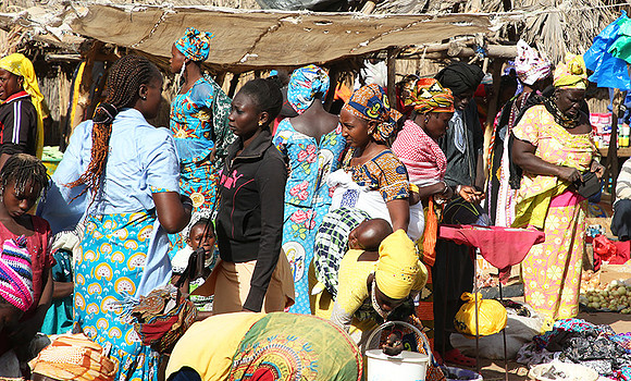 Bush market