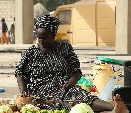 Bush market