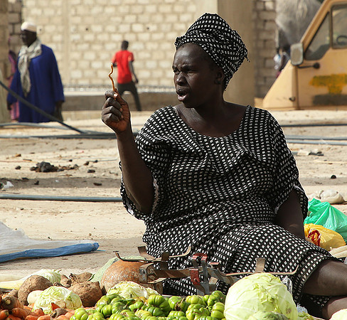 Bush market