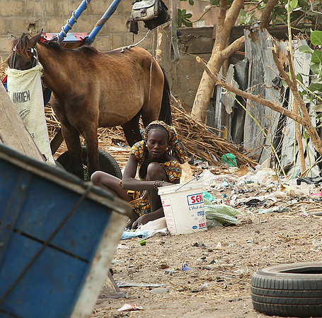 Bush market