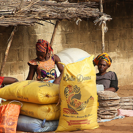 Bush market