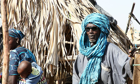 Bush market