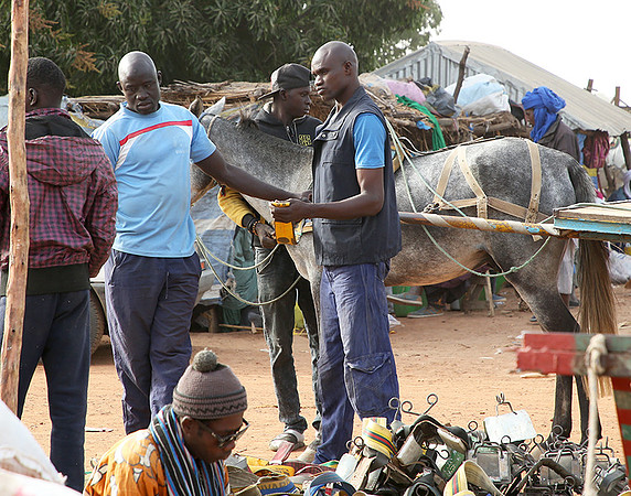 Bush market