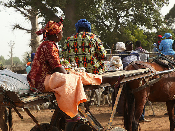 Bush market