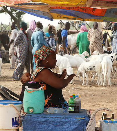 Bush market