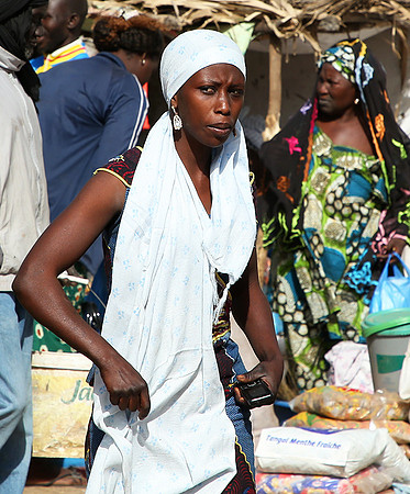 Bush market
