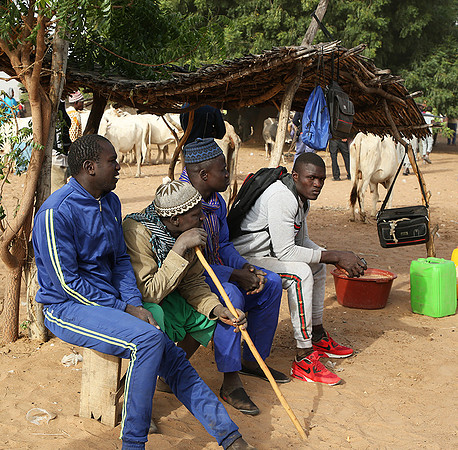 Bush market