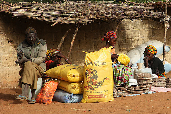 Bush market