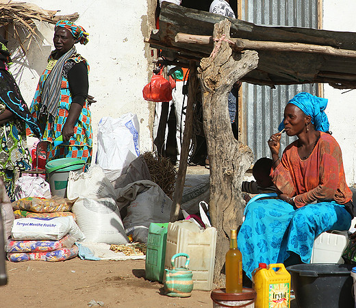 Bush market