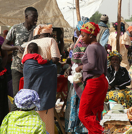 Bush market