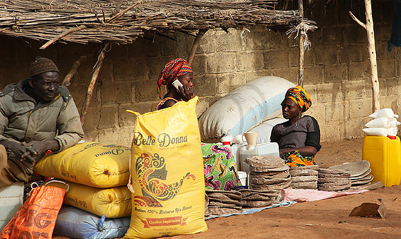 Bush market