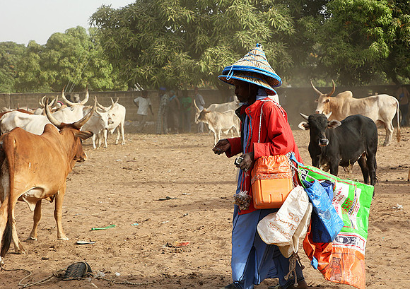 Bush market