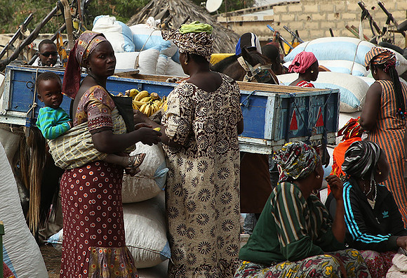 Bush market