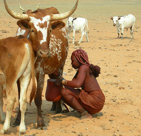 Everyday life in a Himba camp