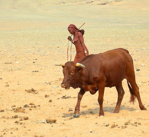 Everyday life in a Himba camp