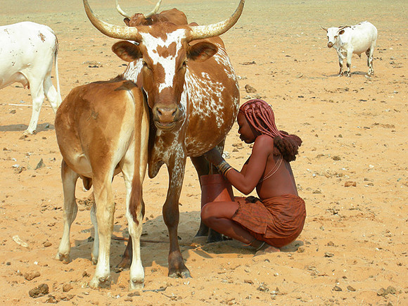 Everyday life in a Himba camp