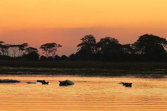 Sunset - Kafue NP