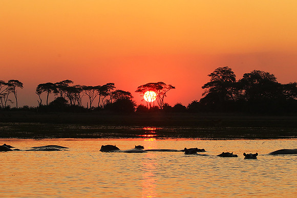 Sunset - Kafue NP
