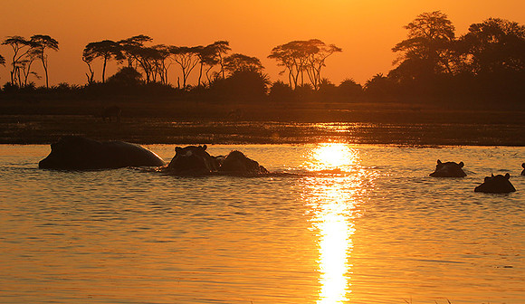 Sunset - Kafue NP