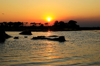 Sunset - Kafue NP