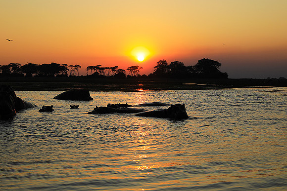 Sunset - Kafue NP