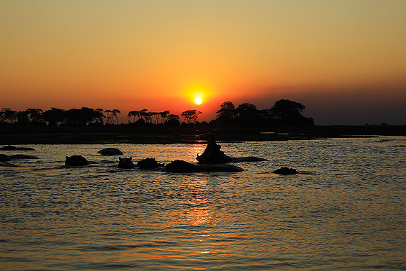 Sunset - Kafue NP