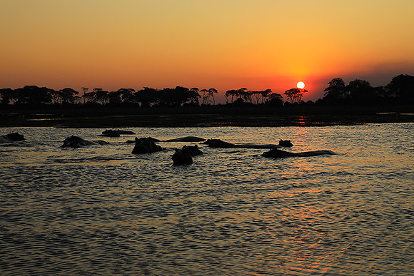 Sunset - Kafue NP