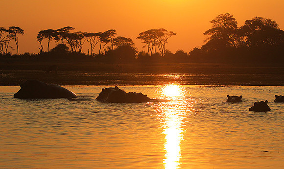 Sunset - Kafue NP