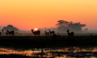 Sunrise - Kafue NP