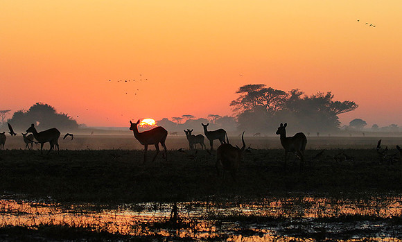 Sunrise - Kafue NP