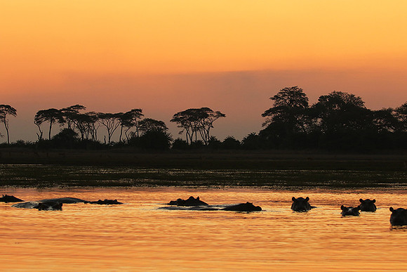 Sunset - Kafue NP