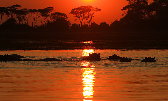 Sunset - Kafue NP