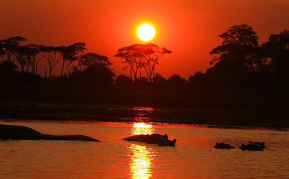Sunset - Kafue NP