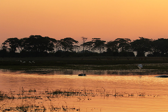 Sunset - Kafue NP