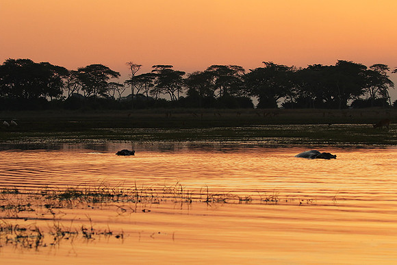 Sunset - Kafue NP