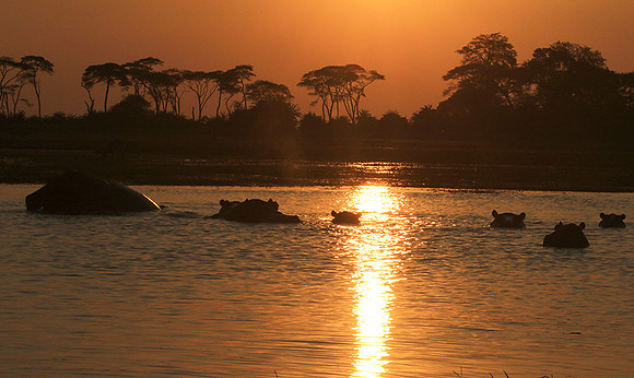 Sunset - Kafue NP