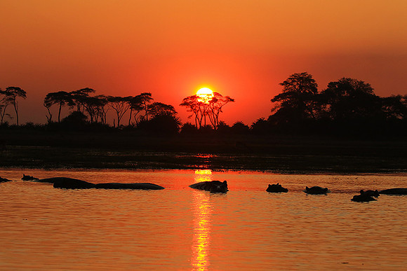 Sunset - Kafue NP