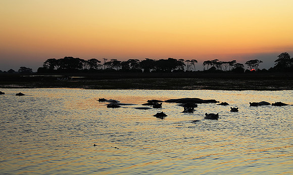 Sunset - Kafue NP