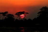 Sunset - Kafue NP