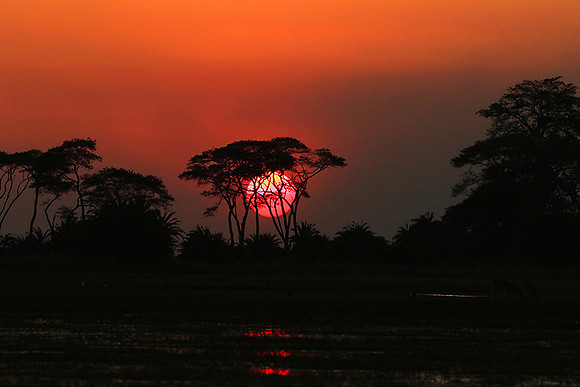 Sunset - Kafue NP