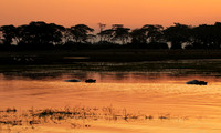 Sunset - Kafue NP