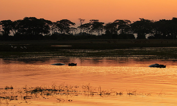 Sunset - Kafue NP