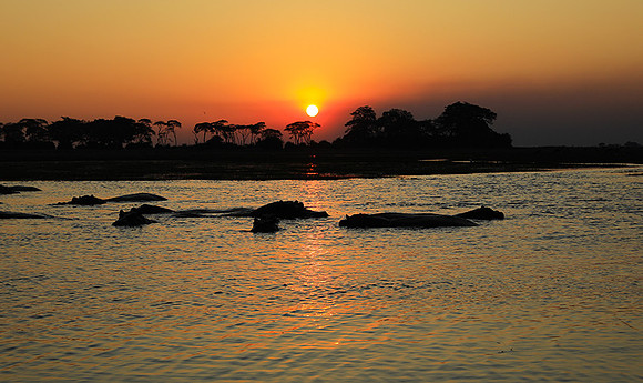 Sunset - Kafue NP